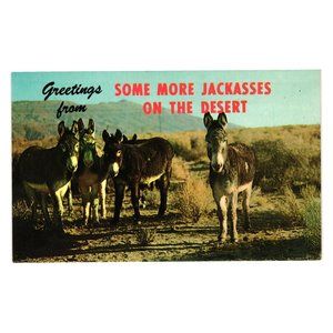 Vintage Postcard Humorous Greeting Desert Jackasses CA Burros Plastichrome